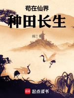 小說(shuō)《/data/image/12279.jpg》封面