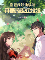 小說(shuō)《/data/image/12466.jpg》封面