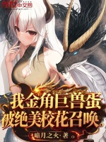小說(shuō)《/data/image/12685.jpg》封面