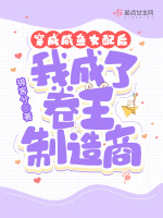 小說(shuō)《/data/image/13258.jpg》封面