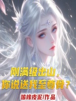 小說《/data/image/13291.jpg》封面