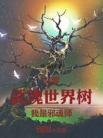 小說(shuō)《/data/image/13631.jpg》封面