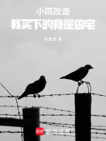 小說(shuō)《/data/image/13939.jpg》封面
