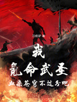 小說(shuō)《/data/image/14161.jpg》封面
