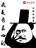 小說(shuō)《/data/image/15282.jpg》封面