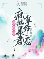 小說(shuō)《/data/image/15403.jpg》封面