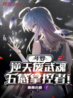 小說(shuō)《/data/image/15612.jpg》封面