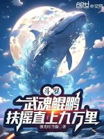 小說《/data/image/16101.jpg》封面
