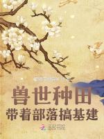 小說《/data/image/16485.jpg》封面