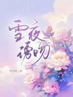 小說(shuō)《/data/image/16658.jpg》封面