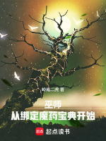 小說(shuō)《/data/image/17580.jpg》封面