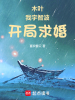 小說《/data/image/20020.jpg》封面