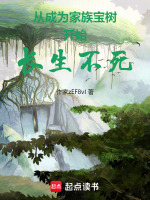小說(shuō)《/data/image/20029.jpg》封面