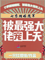 小說《/data/image/20154.jpg》封面
