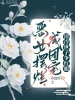 小說《/data/image/20184.jpg》封面