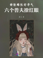 小說(shuō)《/data/image/20195.jpg》封面