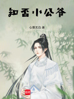 小說(shuō)《/data/image/20219.jpg》封面