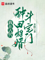 小說《/data/image/20312.jpg》封面