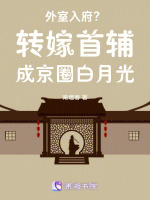 小說(shuō)《/data/image/20354.jpg》封面