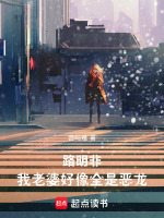 小說(shuō)《/data/image/20650.jpg》封面