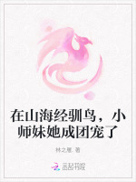 小說(shuō)《/data/image/20663.jpg》封面