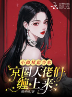 小說《/data/image/20923.jpg》封面