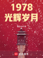 1978光輝歲月小說封面